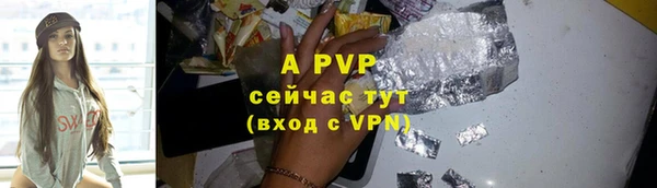 ПСИЛОЦИБИНОВЫЕ ГРИБЫ Гусиноозёрск