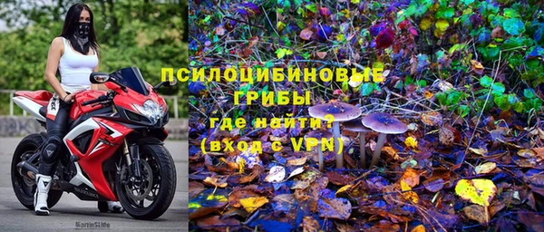 кокс Гусь-Хрустальный
