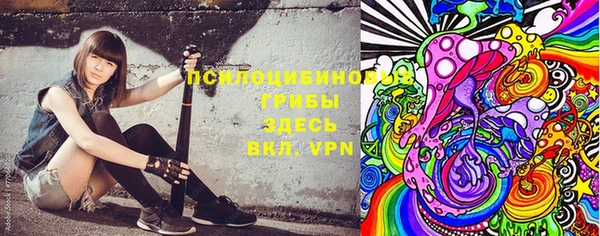 ПСИЛОЦИБИНОВЫЕ ГРИБЫ Гусиноозёрск