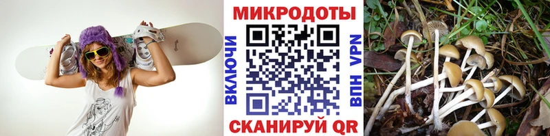 Купить закладки  Кузнецк  Псилоцибиновые грибы Cubensis 
